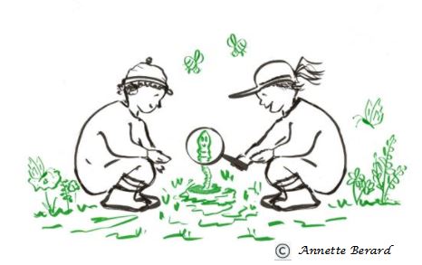 ver de terre verts avec copyriht